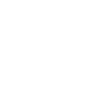 AIQS